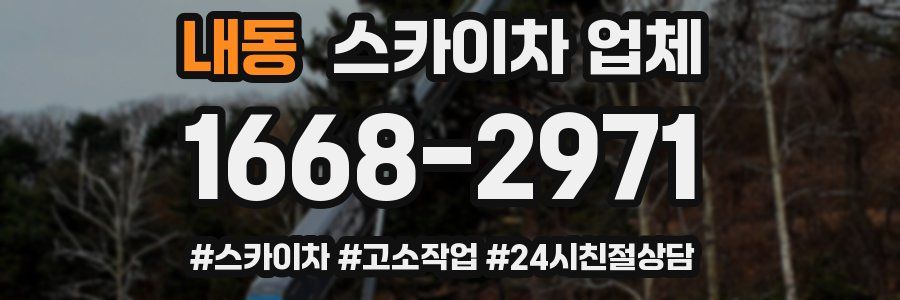 내동 스카이차 업체