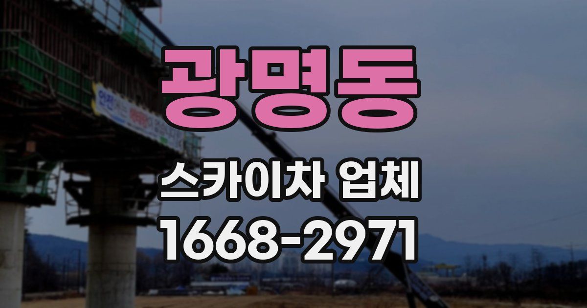 광명동 스카이차 업체