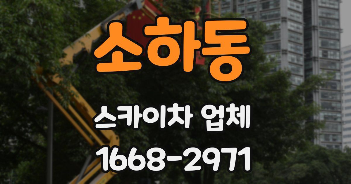 소하동 스카이차 업체