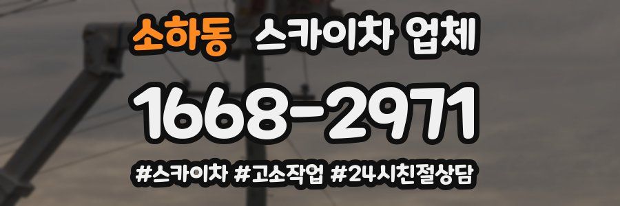 소하동 스카이차 업체