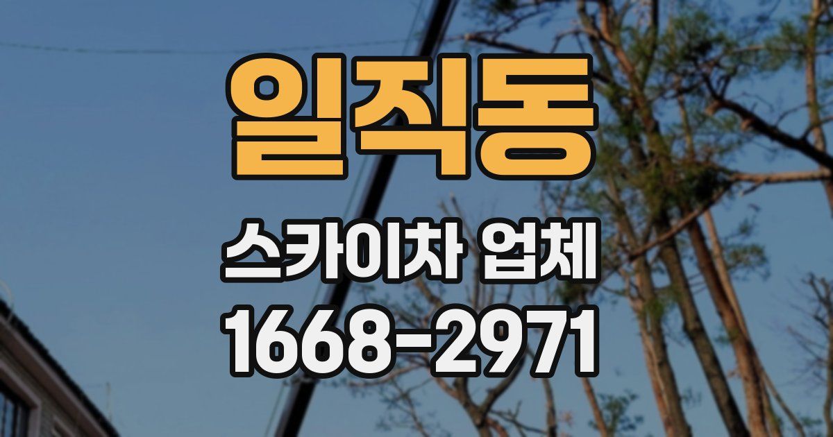 일직동 스카이차 업체