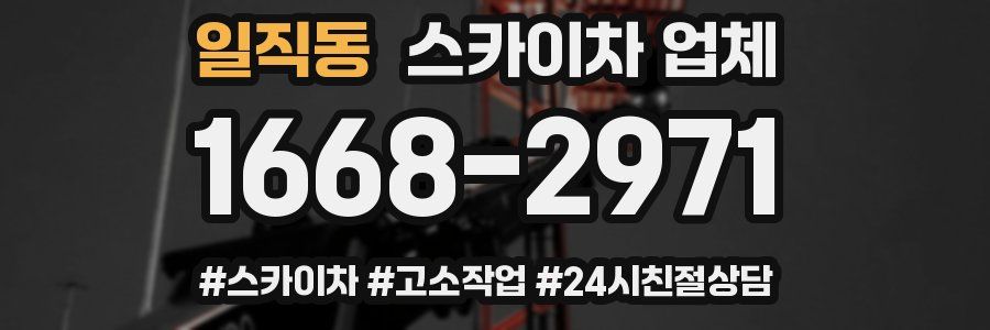 일직동 스카이차 업체