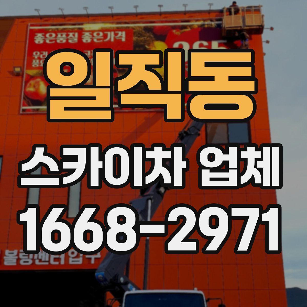 일직동 스카이차 업체