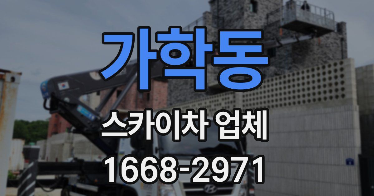 가학동 스카이차 업체