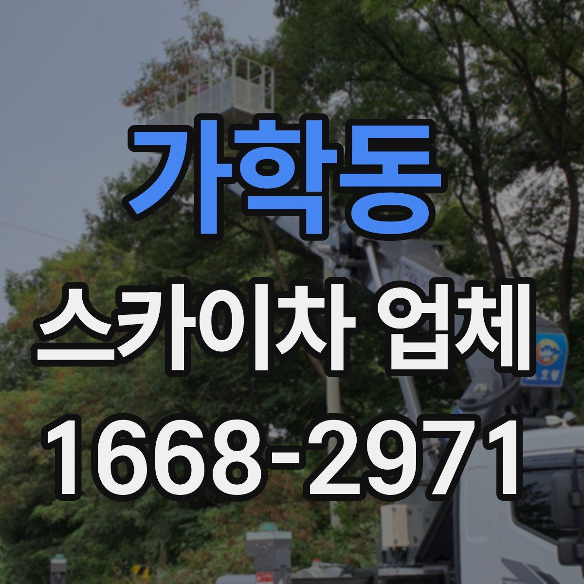 가학동 스카이차 업체