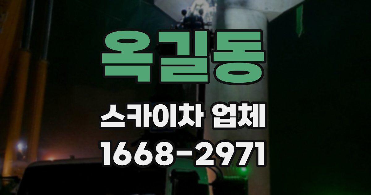 옥길동 스카이차 업체
