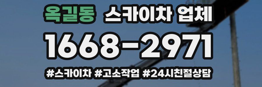 옥길동 스카이차 업체