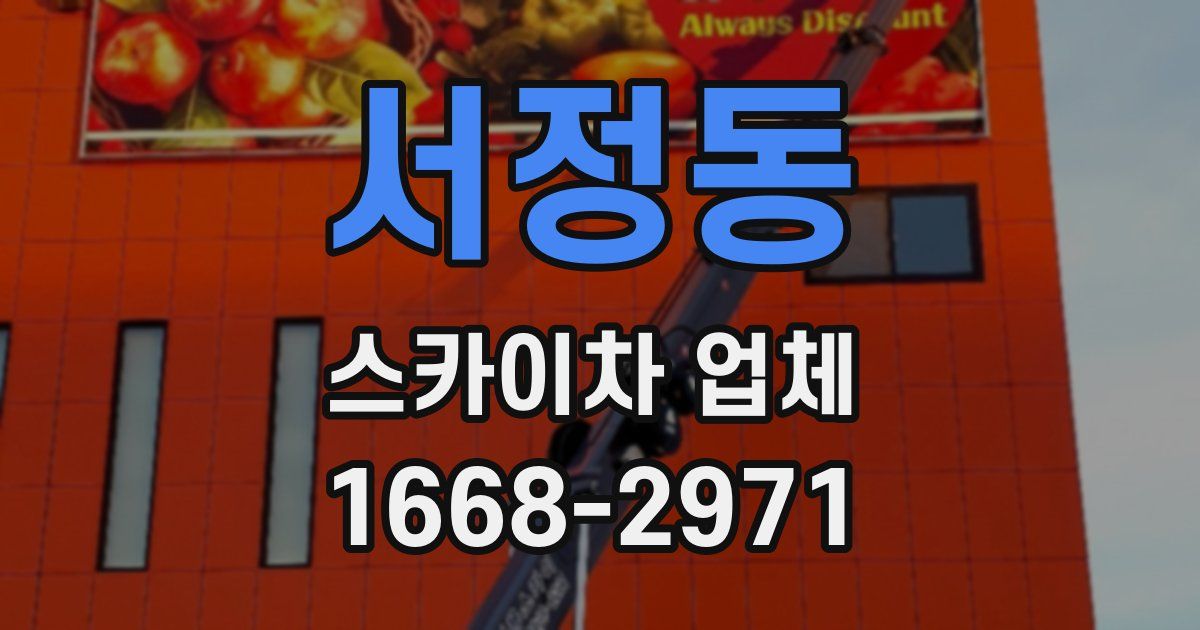 서정동 스카이차 업체