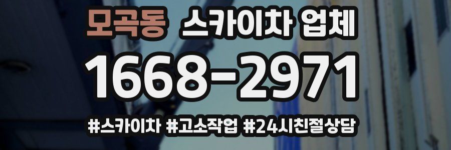 모곡동 스카이차 업체