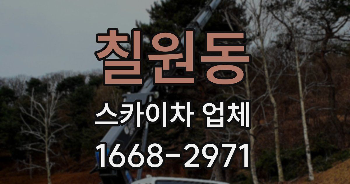 칠원동 스카이차 업체