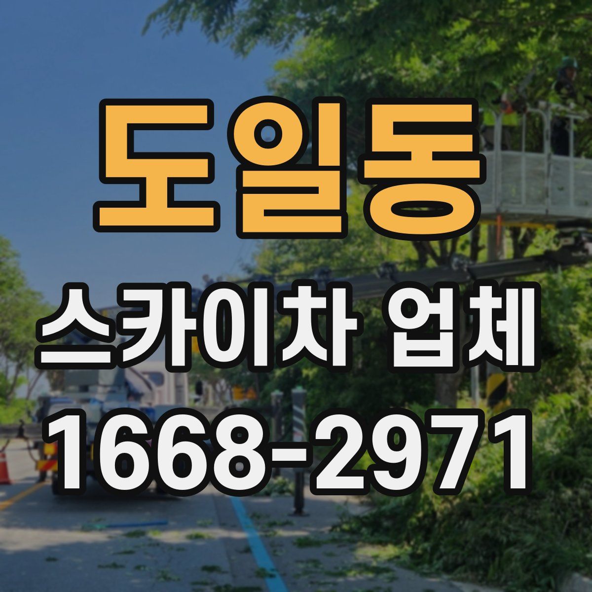 도일동 스카이차 업체