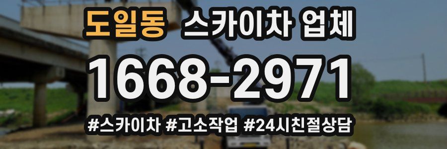 도일동 스카이차 업체