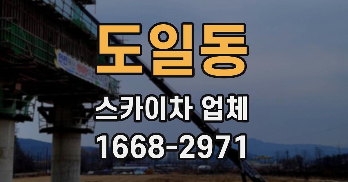 도일동 스카이차 업체