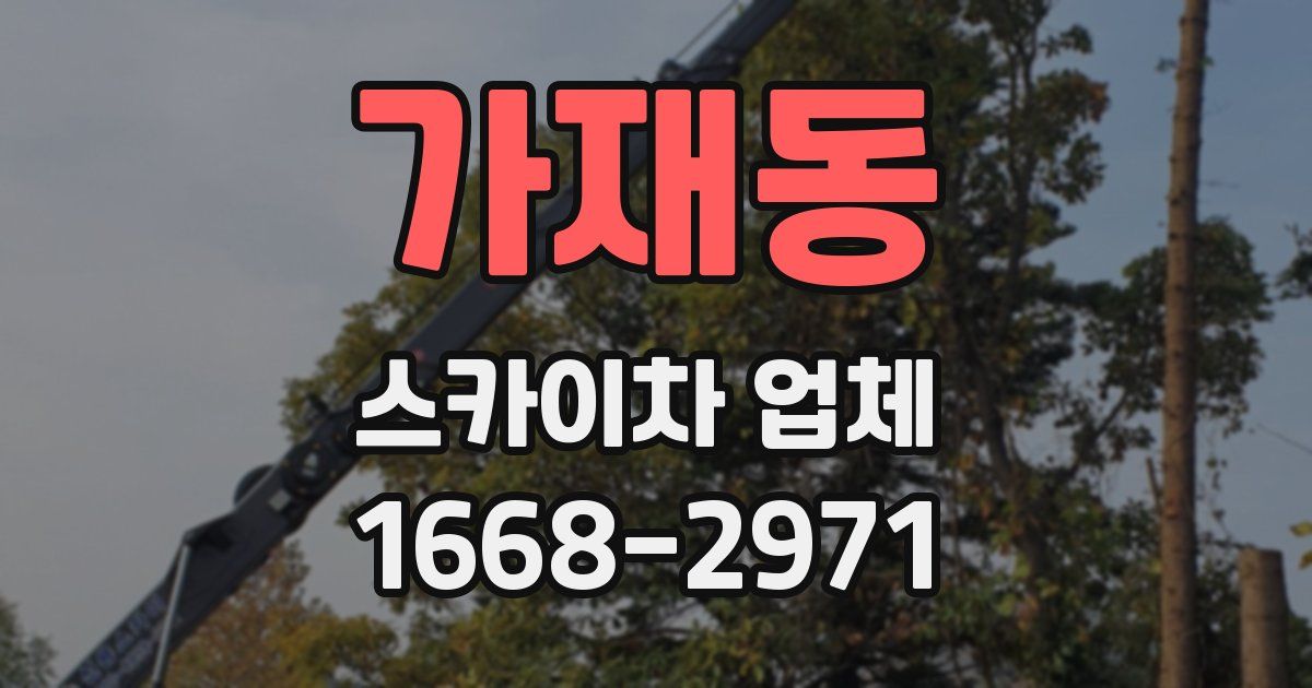 가재동 스카이차 업체