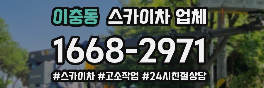 이충동 스카이차 업체