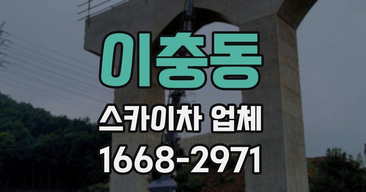 이충동 스카이차 업체