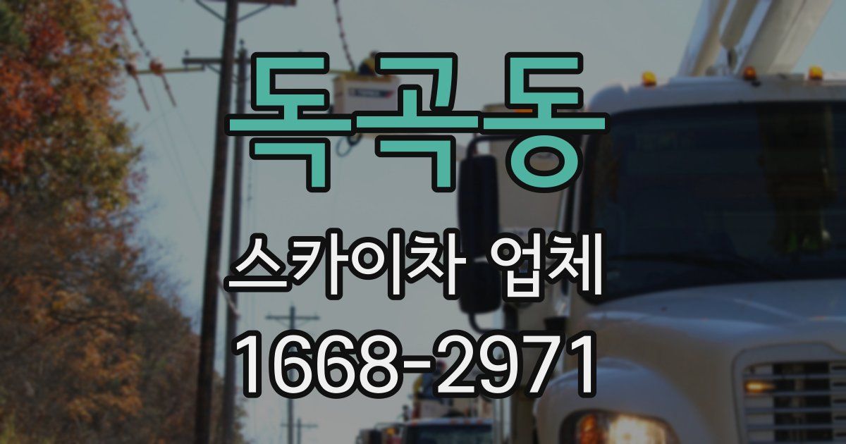 독곡동 스카이차 업체