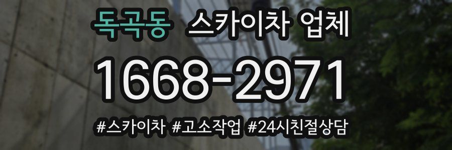 독곡동 스카이차 업체