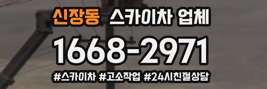 신장동 스카이차 업체