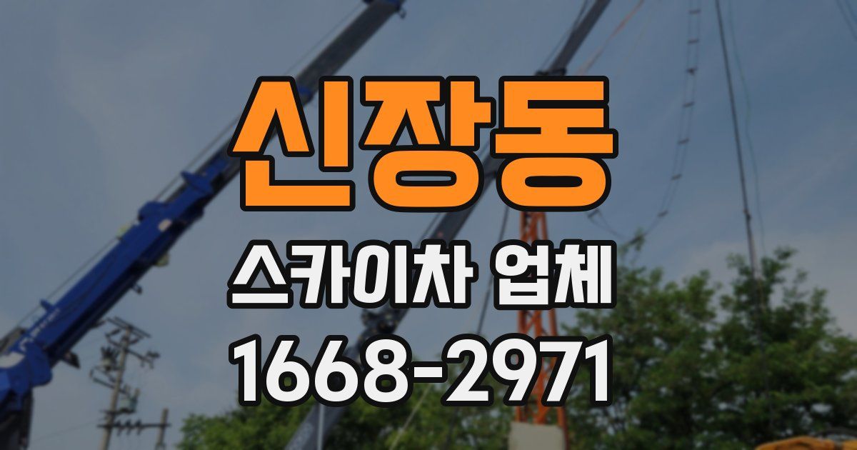 신장동 스카이차 업체