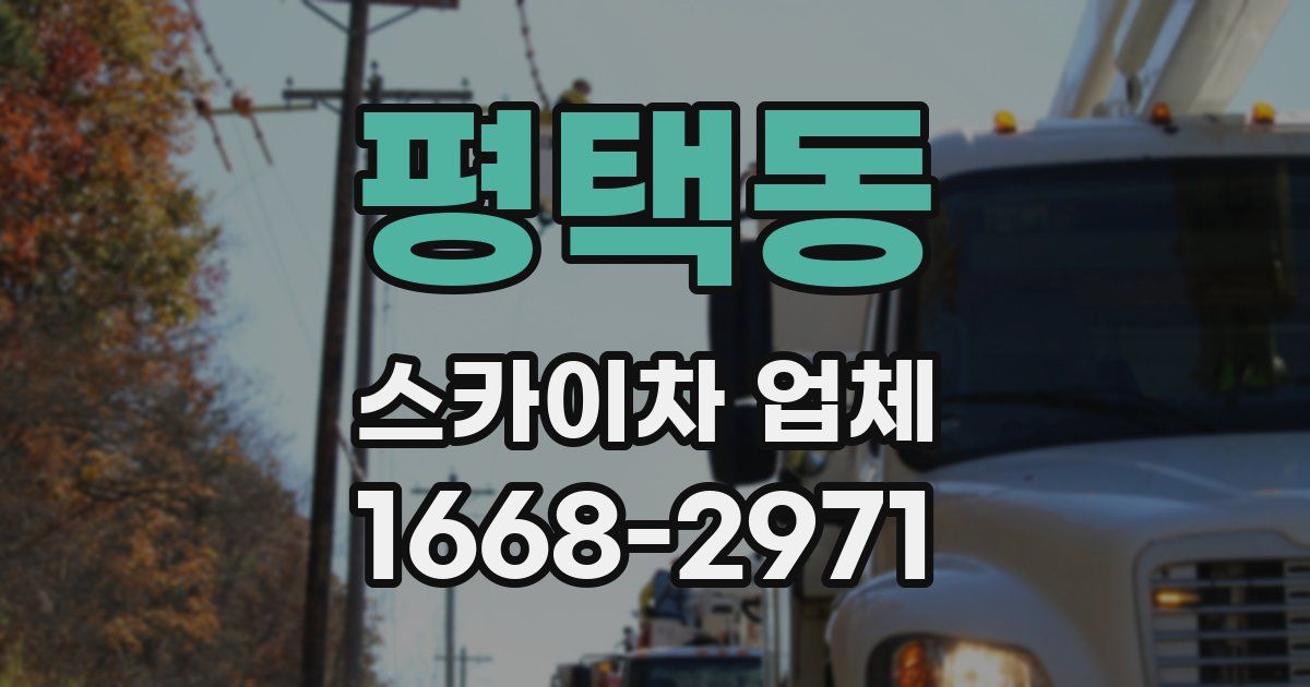 평택동 스카이차 업체