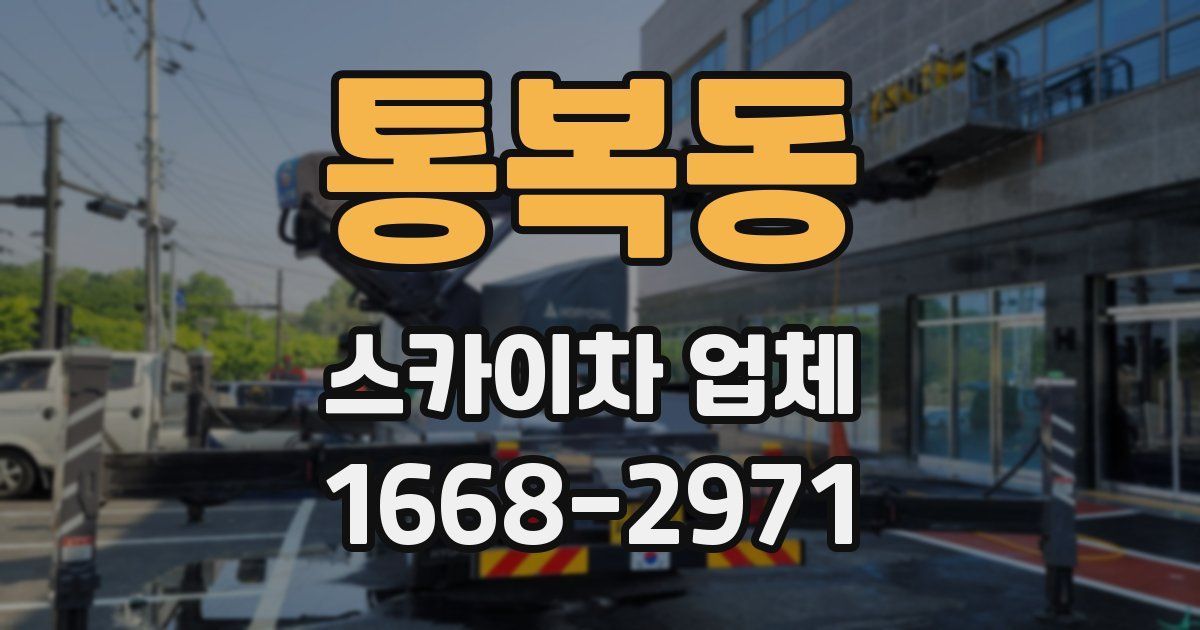 통복동 스카이차 업체