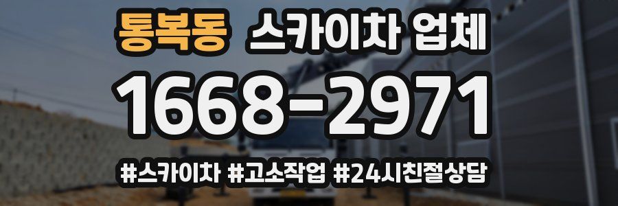 통복동 스카이차 업체