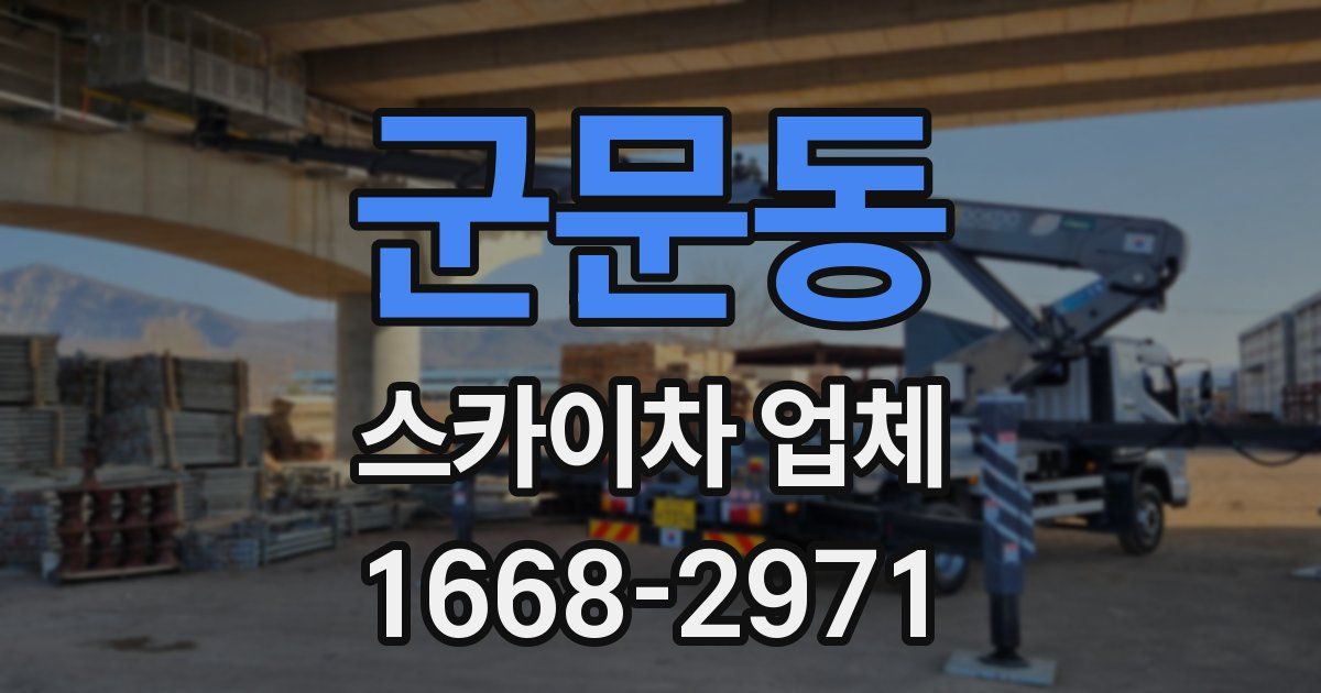 군문동 스카이차 업체