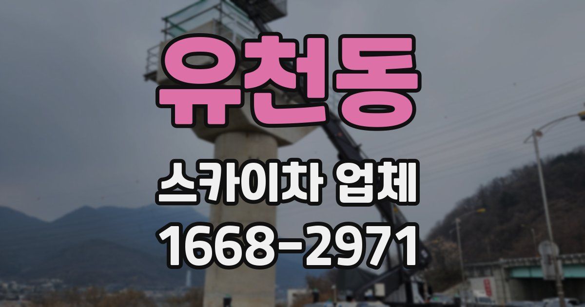 유천동 스카이차 업체