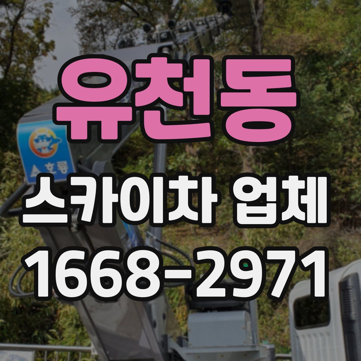 유천동 스카이차 업체