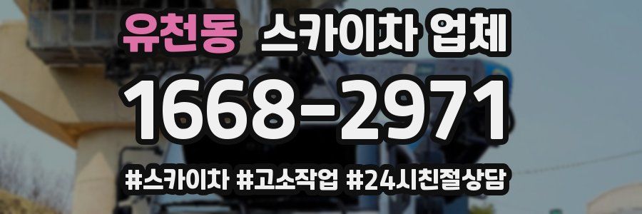유천동 스카이차 업체