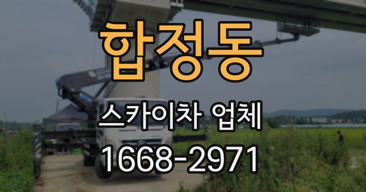 합정동 스카이차 업체