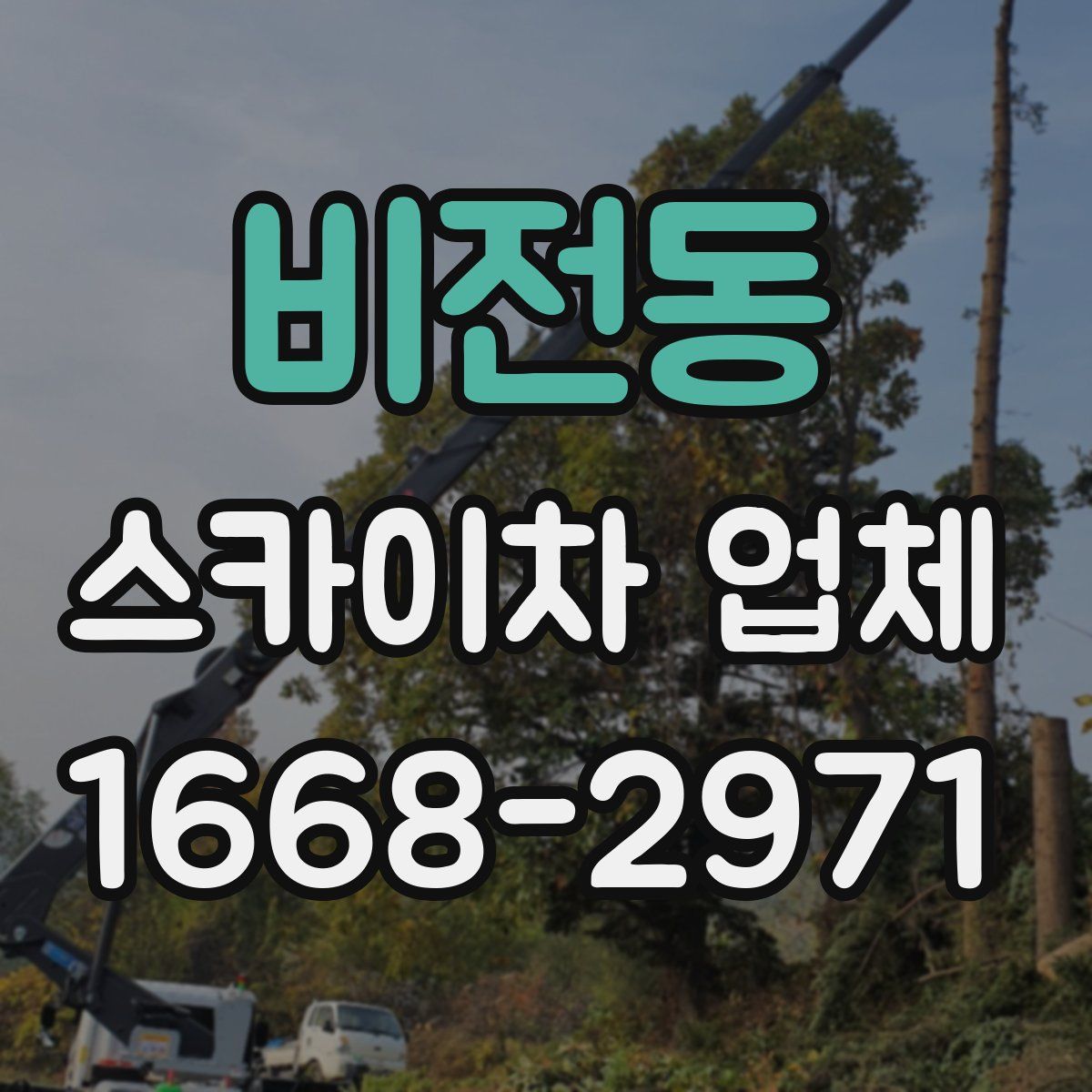 비전동 스카이차 업체