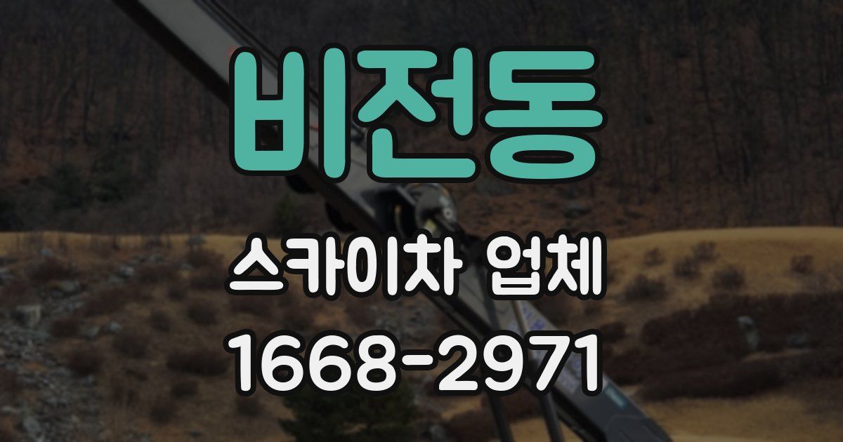 비전동 스카이차 업체