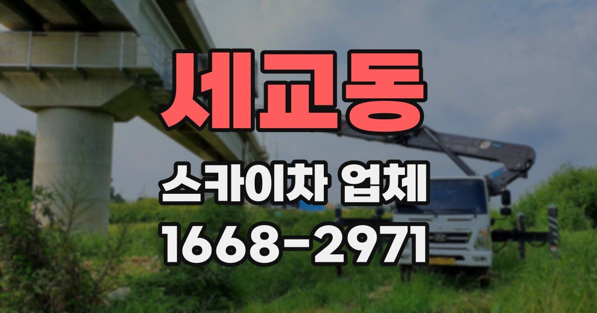 세교동 스카이차 업체