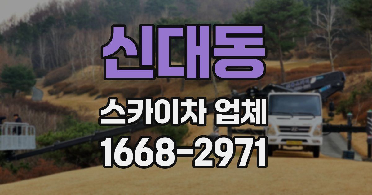 신대동 스카이차 업체