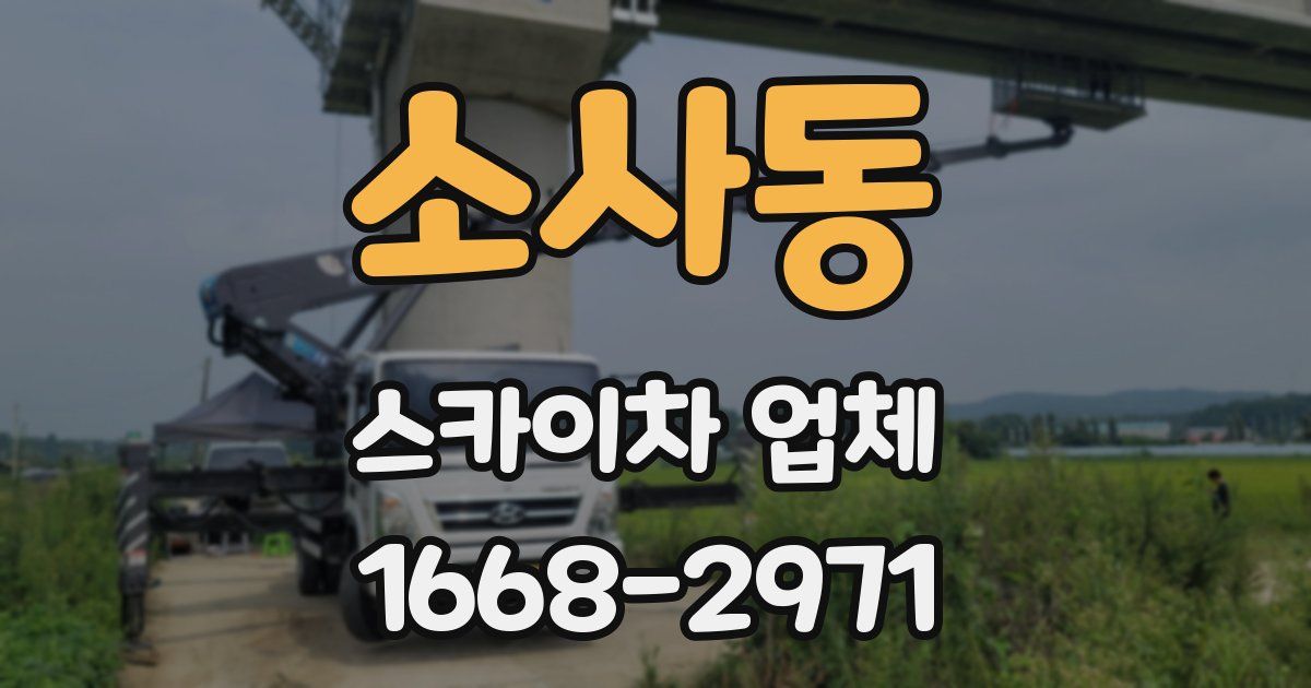 소사동 스카이차 업체