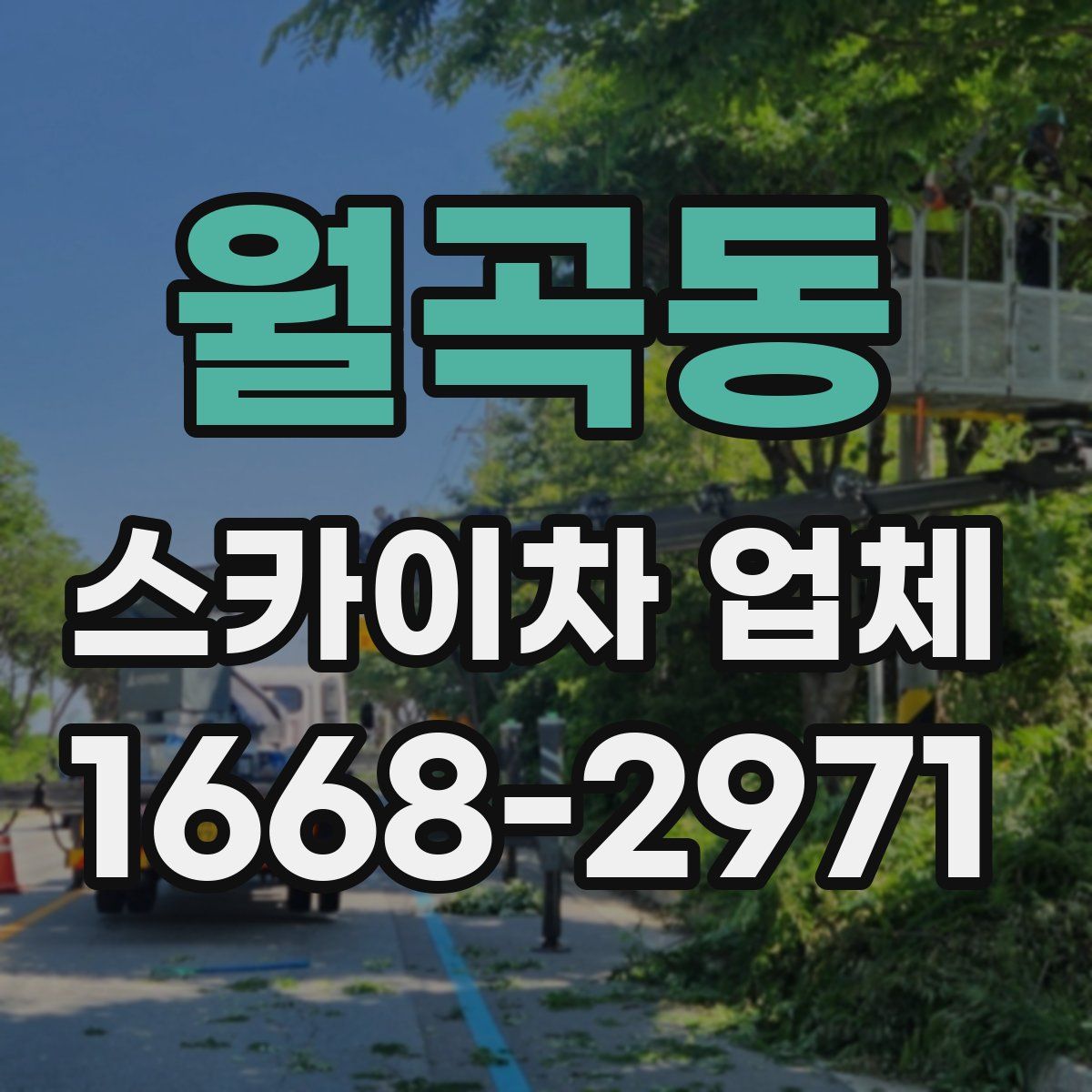 월곡동 스카이차 업체