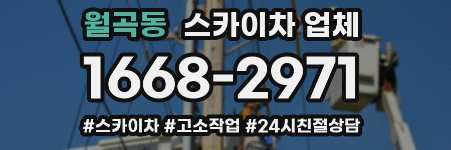 월곡동 스카이차 업체