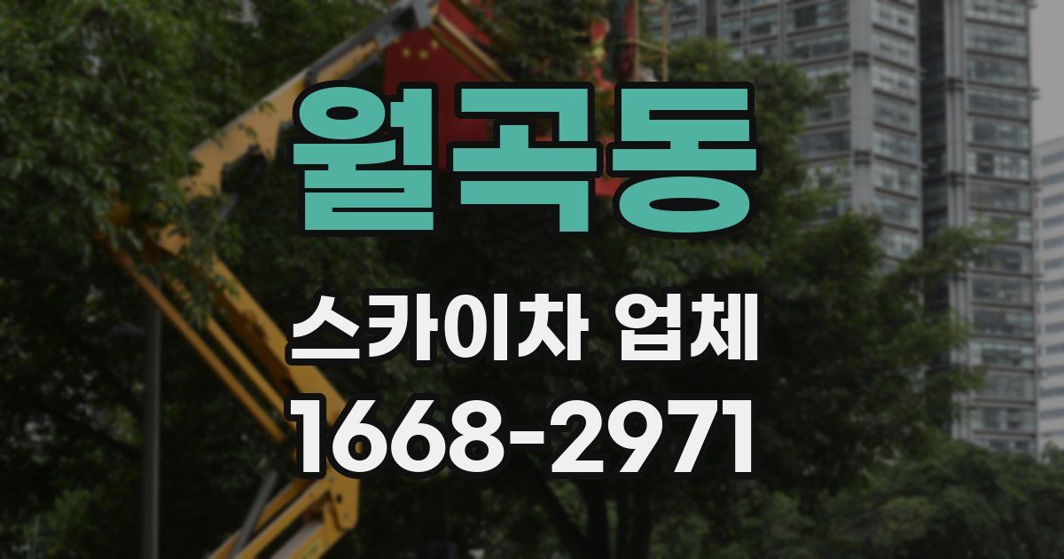 월곡동 스카이차 업체