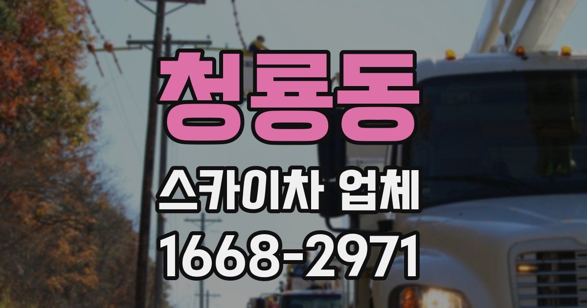 청룡동 스카이차 업체
