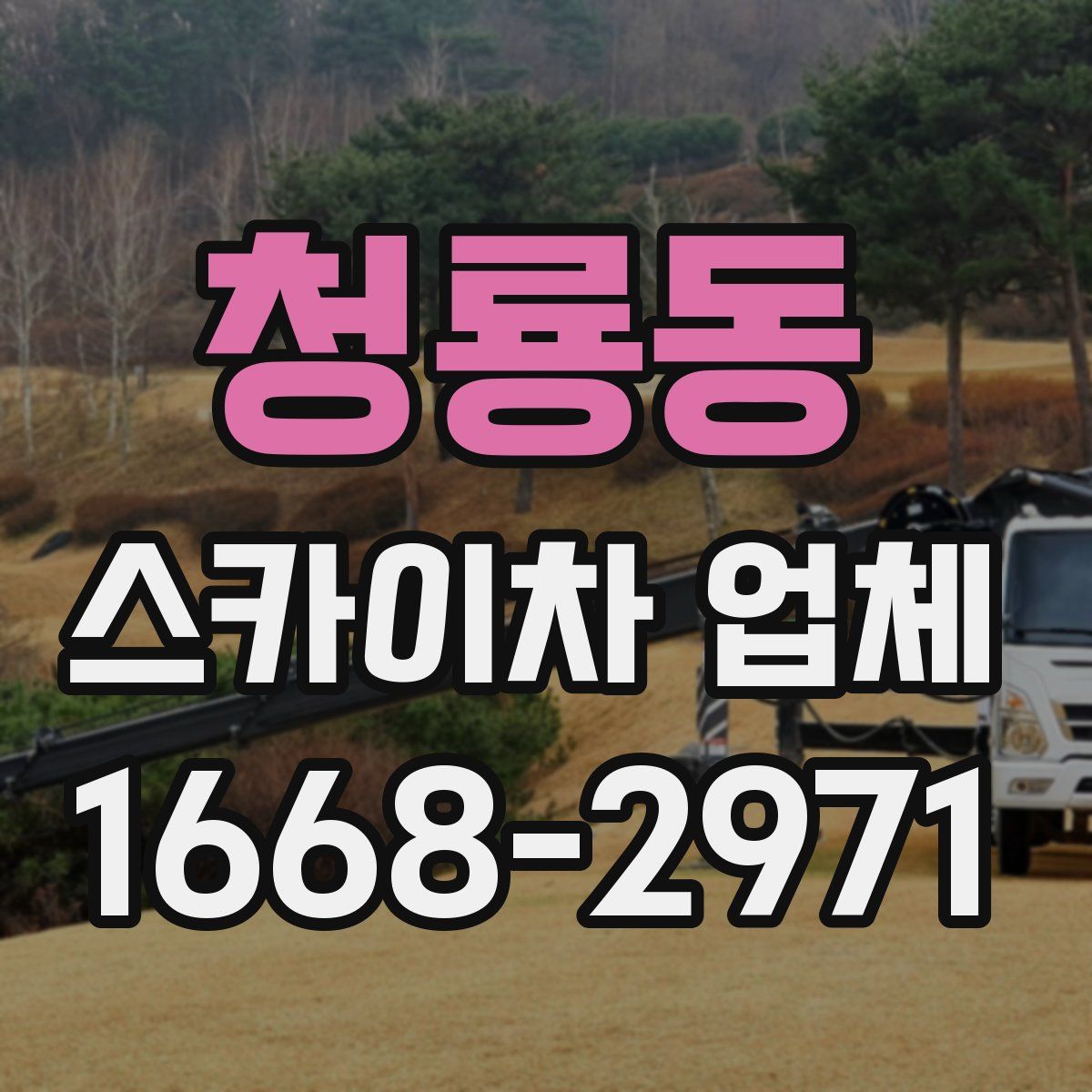 청룡동 스카이차 업체