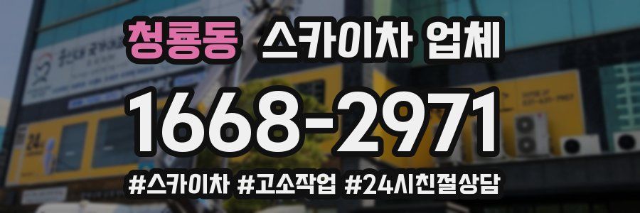 청룡동 스카이차 업체