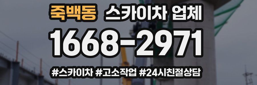 죽백동 스카이차 업체