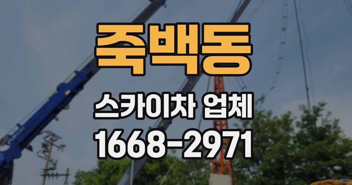 죽백동 스카이차 업체