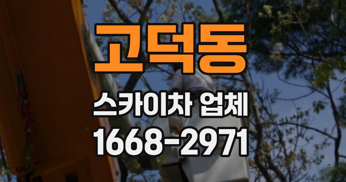 고덕동 스카이차 업체
