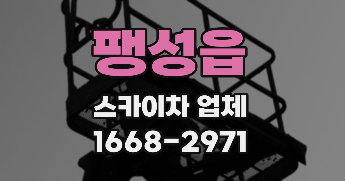 팽성읍 스카이차 업체