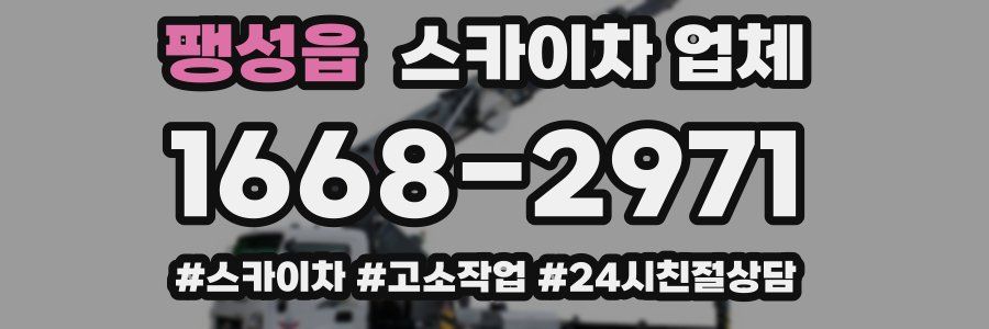 팽성읍 스카이차 업체