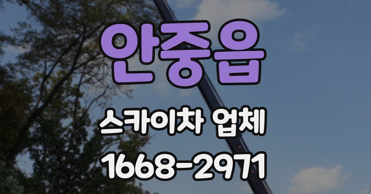 안중읍 스카이차 업체