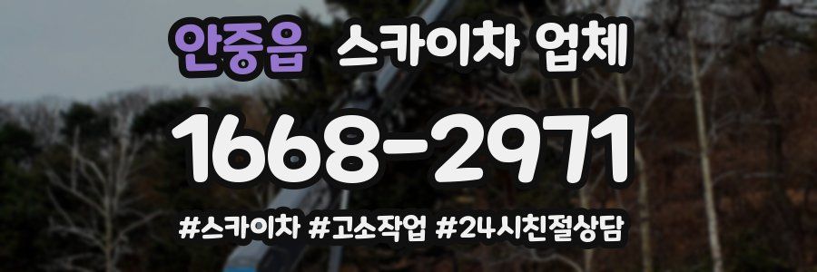 안중읍 스카이차 업체
